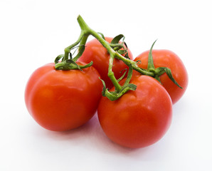 tomatoes isolated on white background