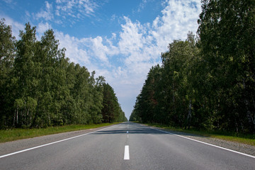 asphalt road for cars through the forest