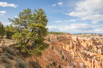 Bryce Canyon