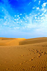 From the Desert of Maspalomas on Gran Canaria, Spain