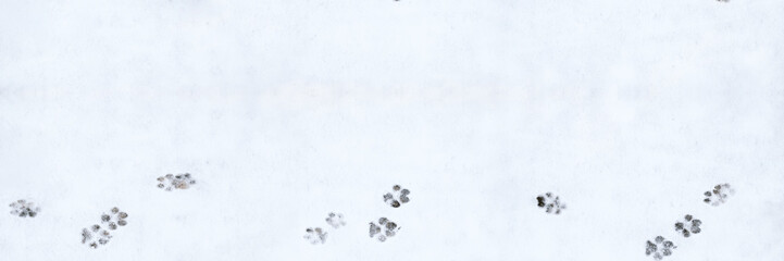 Banner of dog footprint. Pattern on white backdrop. Winter season symbol. Snowy weather. Winter...