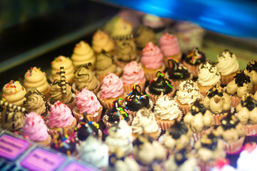 mini cakes in a refrigerated display case of a food store