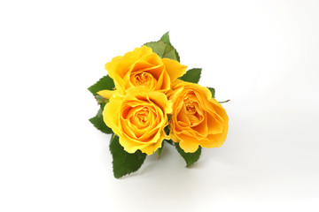 薔薇の花束