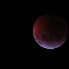 January 2019 lunar eclipse with blood moon