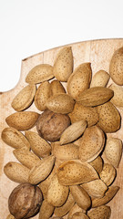 almonds isolated on white background