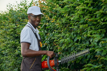 Handsome african man pruning green leaves with hand shears