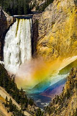 This land is your land don't go chasing waterfalls Colorful rainbow in mist below lower falls in Yellowstone National Park, Wyoming USA