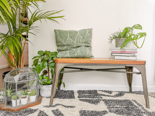 Small entrance hallway in Scandinavian design with lots of natural light and numerous green plants
