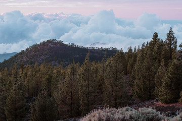 background of trees mountains and high clouds