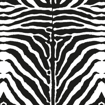 pattern zebra