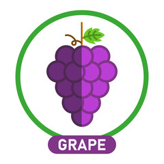 Grape icon. Wine concept. Vector illustration.