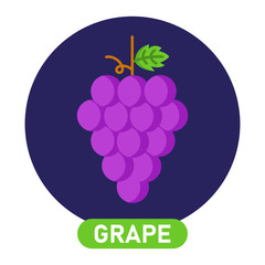 Grape icon. Wine concept. Vector illustration.