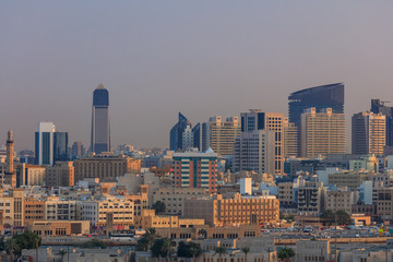 Fototapeta na wymiar view of Dubai city