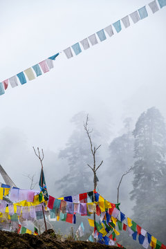 Prayer flags hung to carry people's prayers throughout the land of Bhutan