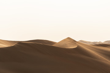 Fototapeta na wymiar sand dune shaped and curved by nature 