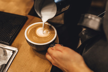 Barista making cappuccion coffee in coffee shop