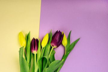 Bouquet of spring yellow and purple tulips on yellow background, top view, for Valentine's Day,  Easter, Mother's and Woman's Day.