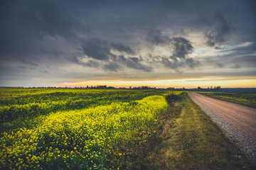 road in the field during sunset