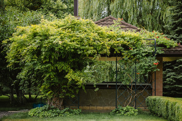 Fototapeta na wymiar It is a lot of greens. Trees and bushes in the garden hide the gazebo. A place to stay in summer.