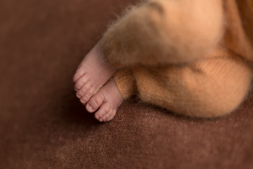 children's legs on white. newborn's legs