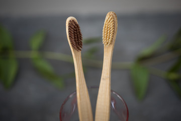 Ecological bamboo toothbrushes. Plastic zero