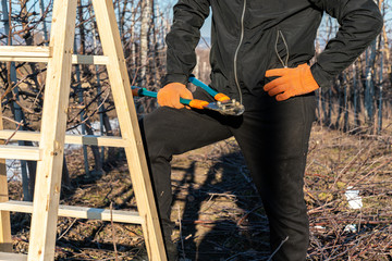 Close up photo of the male in black clothes and orange work gloves stands with one leg on ladder among the garden, holds shears in one hand, holds other hand on his waist
