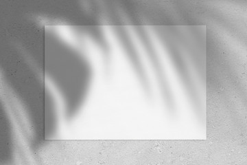 Empty white horizontal rectangle poster or business card mockup with with palm leaves shadows on soft grey concrete background. Flat lay, top view. 