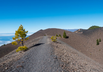 Beautiful volcanic landscape with lush green pine trees and colorful volcanoes along the path Ruta de los Volcanes, beautiful hiking trail at La Palma island, Canary Islands, Spain, Blue sky