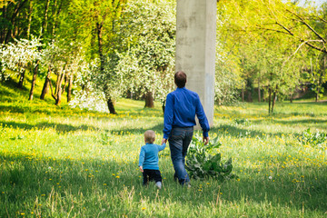 Father and son from the back in the park.