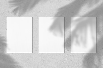 Three empty white vertical rectangle poster or business card mockups with with palm leaves shadows on soft grey concrete background. Flat lay, top view. 