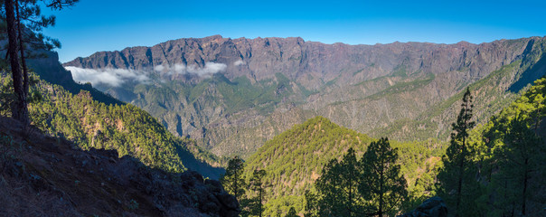 Panoramic volcanic landscape and lush pine tree forest, pinus canariensis view from Mirador de la Cumbrecita at national park Caldera de Taburiente, volcanic crater in La Palma, Canary Islands, Spain