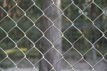 lines fence