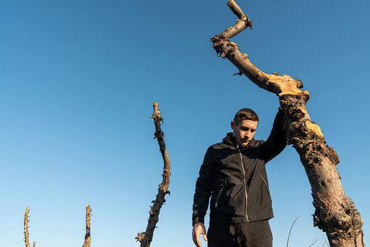Waist up photo of the young man gardener in black clothes stands among his old apple garden, leaned on a tree and looking at sawed trunk, blue sky on the background