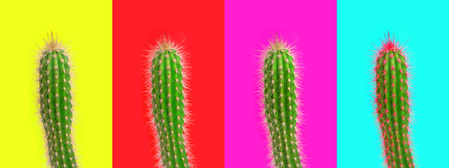 Cactus neon kleur achtergrond Creatieve moderne pop-art collage