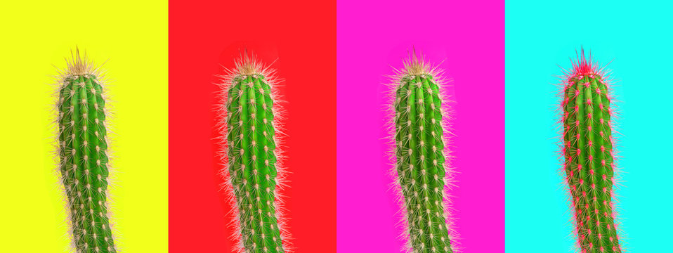 Cactus Neon Color Background Creative Modern Pop Art Collage