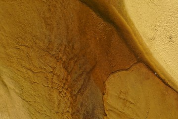 laguna tom