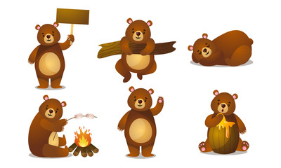 Cute funny brown bear animals doing everyday things vector illustration