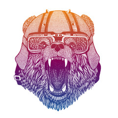 Bear wearing motorcycle helmet. Speed and road. Vintage style vector illustration. Face of dangerous wild animal. Portrait head of biker.