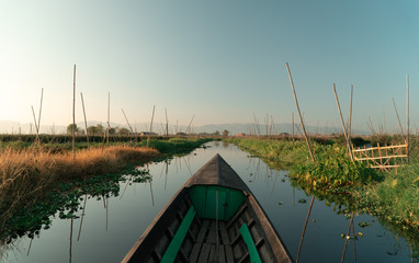 Naklejka premium View from the boat of the wonderful floating gardens in Inle Lake in Myanmar.