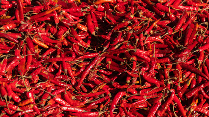 Image for use as background full of red pepper.