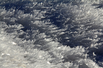 grandi cristalli laminari di ghiaccio ricoprono la neve in Val Venegia; Trentino