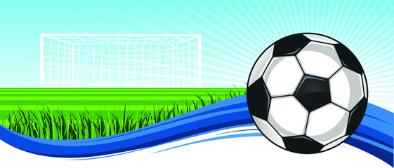 Naklejka premium soccer background
