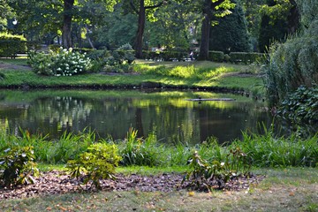 Staw w parku Planty,  Białystok, Polska