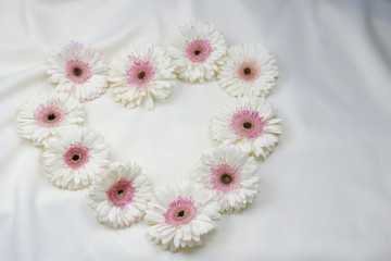White Gerber daisy flowers layed out in a heart shape isolated on an elegant white fabric background. Anniversary or Mother's Day card. Copy space