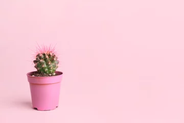 Schilderijen op glas Pot with cactus plant on pink background © Pixel-Shot