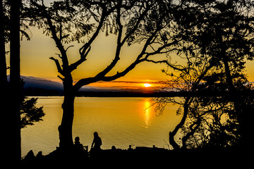 Fototapeta na wymiar Trees silhouette on sunset ocean beach.