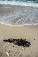 Garbage on the city beach. Ocean pollution