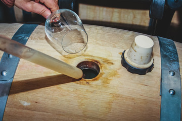 Trying or testing wine from a barrel in a wine cellar, using a pipette and a glass.