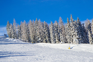 trees covered with snow at the pistes of Schladming ski resort