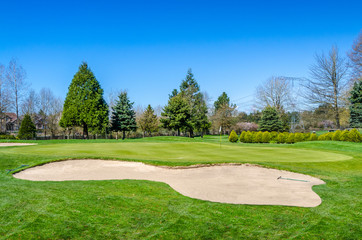 Golf course with yellow sand bunker and fantastic forest view.